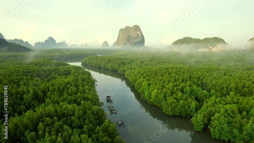 Experience the serene beauty of southern Thailand's mangrove at sunrise in stunning drone footage.