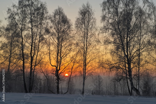 Russia. Kemerovo region - Kuzbass. Sunrise on a frosty winter morning through birch trees without foliage.