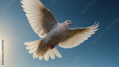 A graceful dove spreads its wings wide, soaring into the clear blue sky in a symbol of peace and freedom