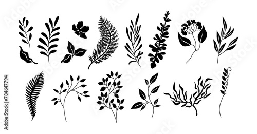 Set of black silhouettes of wild plant leaves, flowers. Hand drawn elegant foliage. Trendy botanical black and white vector illustrations isolated on transparent background.