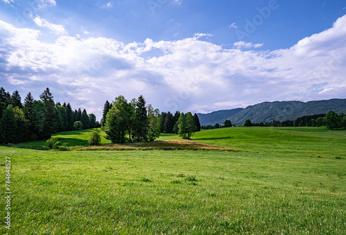 Grüne Almen und Wiesen in der Nähe des Wilden Kaiser Hochgebirges im Frühsommer.