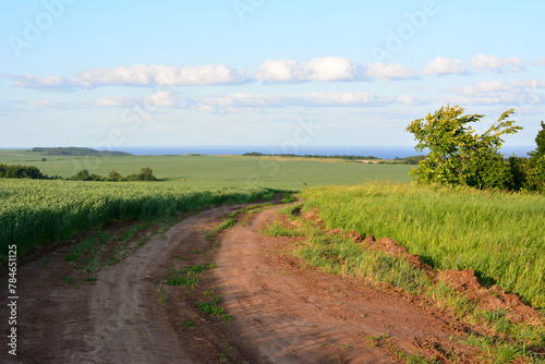 a dirt road with a green field and chain of clouds in the sky 