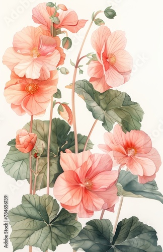 Vibrant Watercolor Botanical Illustration of Begonia Flowers Generative AI