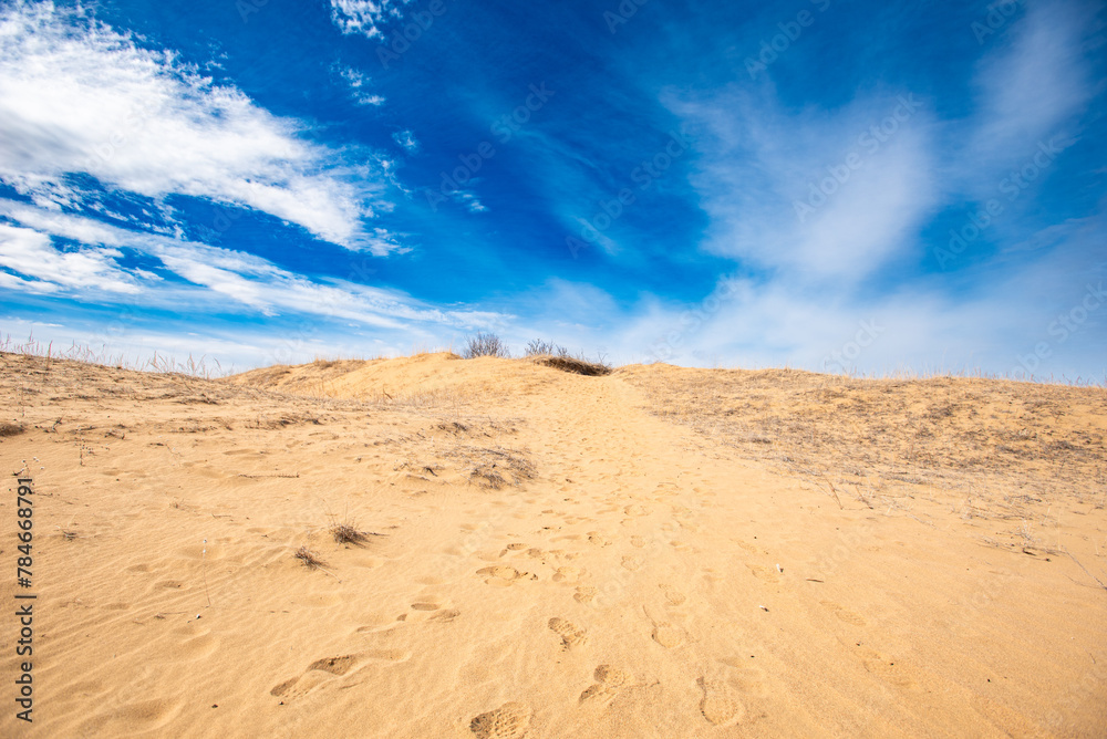 sand dunes in the desert sand dunes in the desert