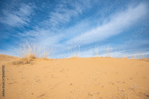 Fototapeta Naklejka Na Ścianę i Meble -  sand dunes and sky