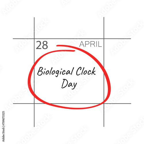 Biological Clock, April 28 - calendar date.