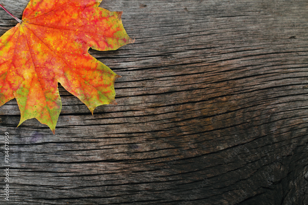 Autumn wooden background