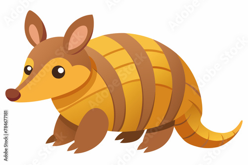 armadillo vector illustration