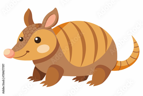 armadillo vector illustration
