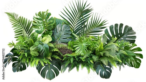 Green leaves of tropical plant bushes on white background  generative ai