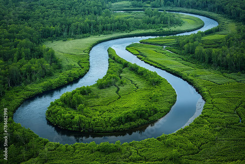 Serene Aerial View: River Meandering Through Lush Forest