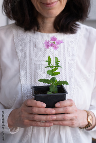 a woman holding plant of verbena in her hands