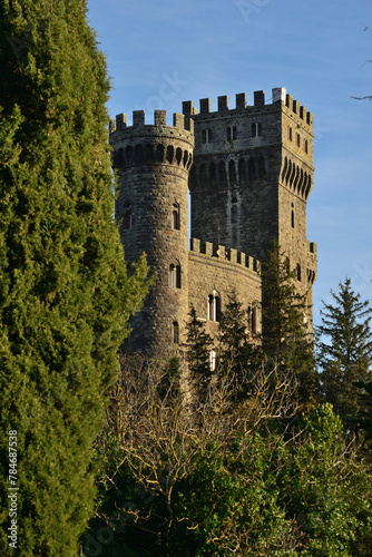 Il Castello di Torre Alfina nel Lazio photo