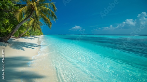 Idyllic tropical beach with palm trees - A serene white sandy beach leading to a tranquil turquoise sea under a clear blue sky, ideal for travel themes