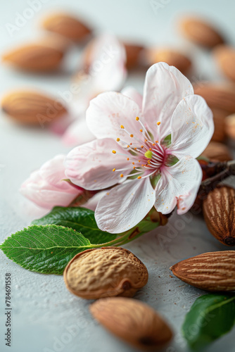 Almond Blossom and Nuts Close-Up on Bright Background