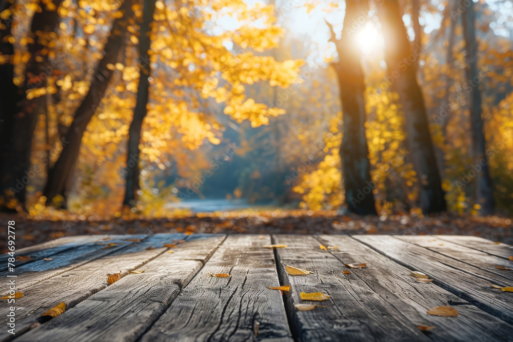 Autumnal Pathway in a Sunlit Forest with Fallen Leaves Autumnal Pathway in a Sunlit Forest with Fallen Leaves