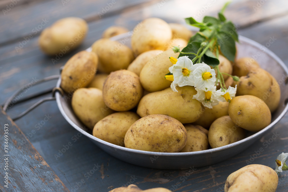Fresh new potatoes in a sieve Fresh new potatoes in a sieve