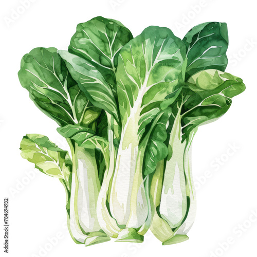 vegetable - Overall, bok choy is a nutritious and flavorful vegetable that adds both taste and texture to a variety of dishes, particularly in Asian cuisine.