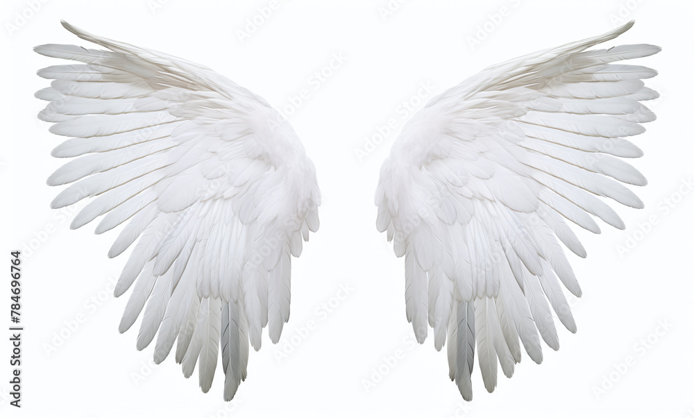 White angel wings isolated on a white background White angel wings isolated on a white background