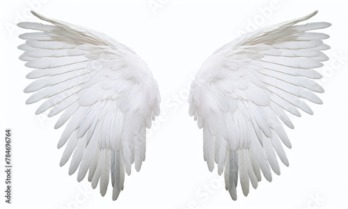 White angel wings isolated on a white background