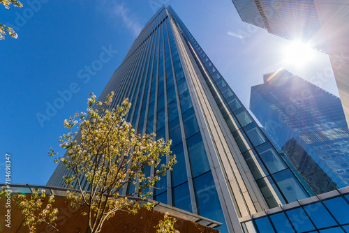 A towering modern skyscraper reaches into the clear blue sky on a sunny day. The view from below of the buildings architecture, juxtaposed against the organic shapes of a blossoming tree