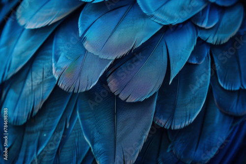 Vibrant Blue Macaw Feather Close-Up Texture