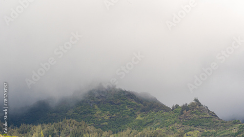 misty morning in the mountains