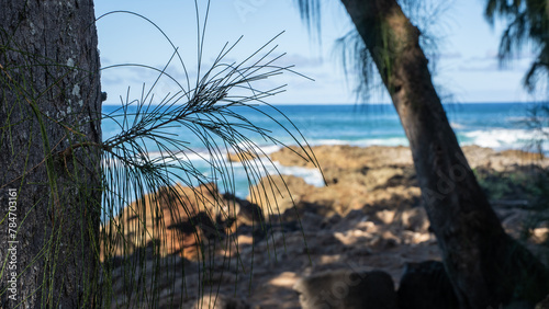 Tropical Rocky Beach