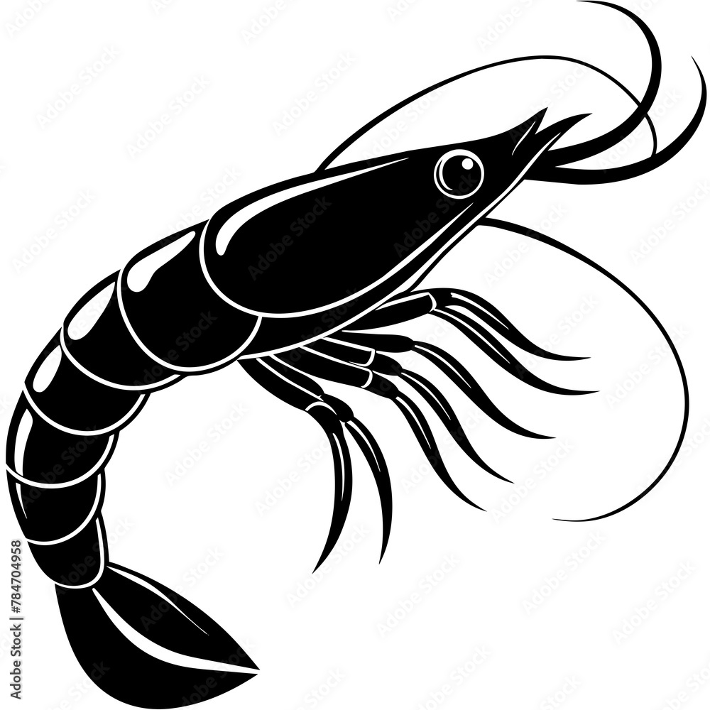 black and white fish black and white fish