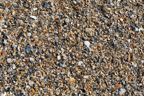 Background texture of small and broken pieces of seashells and beach sand, coastal resort or retirement creative copy space, horizontal aspect