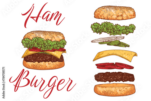 Vector ham burger line art hand drawn fast food with lettuce  cucumber  cheese  onion  minced meat  bread bun.