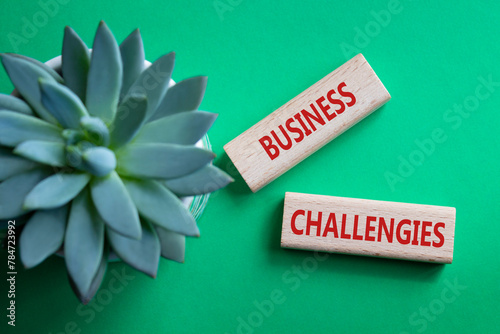 Business challenges symbol. Concept word Business challenges on wooden blocks. Beautiful green background with succulent plant. Business and Business challenges concept. Copy space