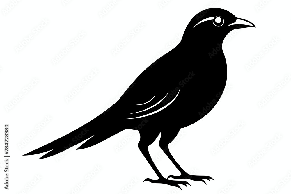 Fototapeta premium Bird silhouette on white background
