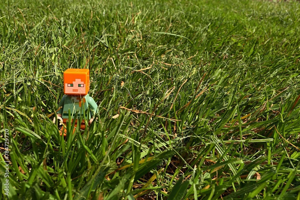 Naklejka premium LEGO Minecraft figure of Alex walking across freshly cultivated an mowned garden lawn, spring daylight sunshine. 