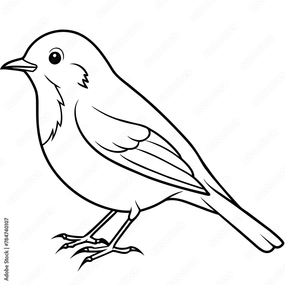 bird on a branch Line art coloring book page for children's vector art illustration bird on a branch Line art coloring book page for children's vector art illustration