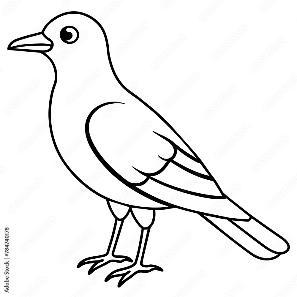 Obraz premium bird line art coloring book page for kid's vector art illustration 