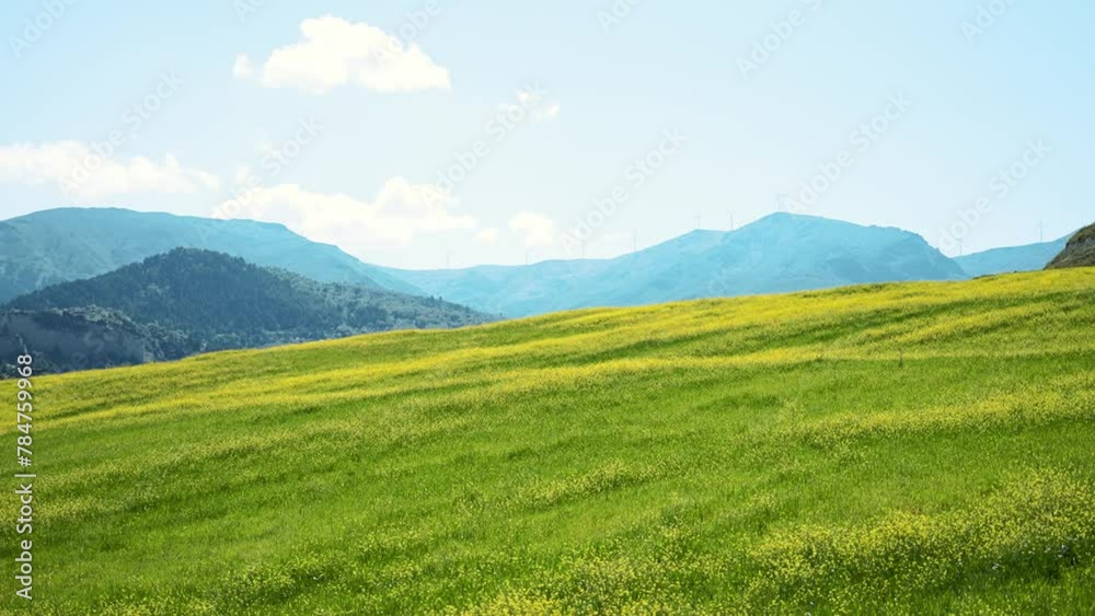 Spring, Spring wheat field, A plain full of spring flowers, A person who walks in a field full of spring flowers, A couple walking in a field full of flowers, A woman walking in a field full of spring Spring, Spring wheat field, A plain full of spring flowers, A person who walks in a field full of spring flowers, A couple walking in a field full of flowers, A woman walking in a field full of spring