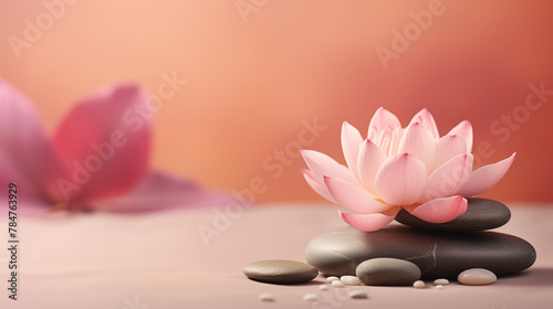 stones and lotus flower on pink background witn copy space  wellness and massage  bodycare  spa and harmony 