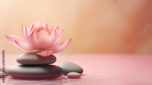 stones and lotus flower on pink background witn copy space, wellness and massage, bodycare, spa and harmony 