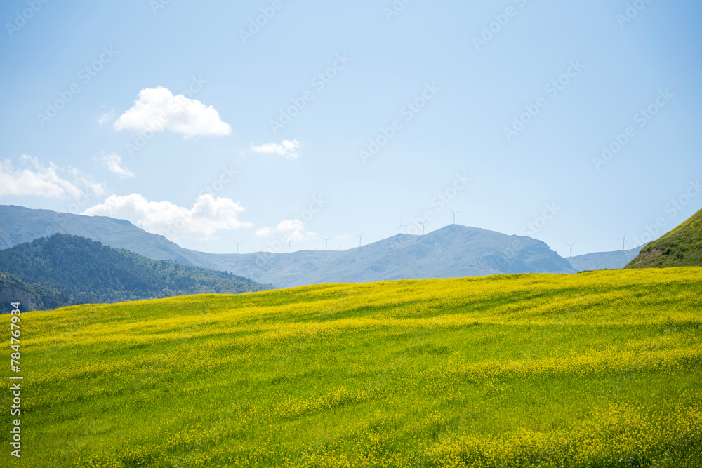 Spring, Spring wheat field, A plain full of spring flowers, A person who walks in a field full of spring flowers, A couple walking in a field full of flowers, A woman walking in a field full of spring