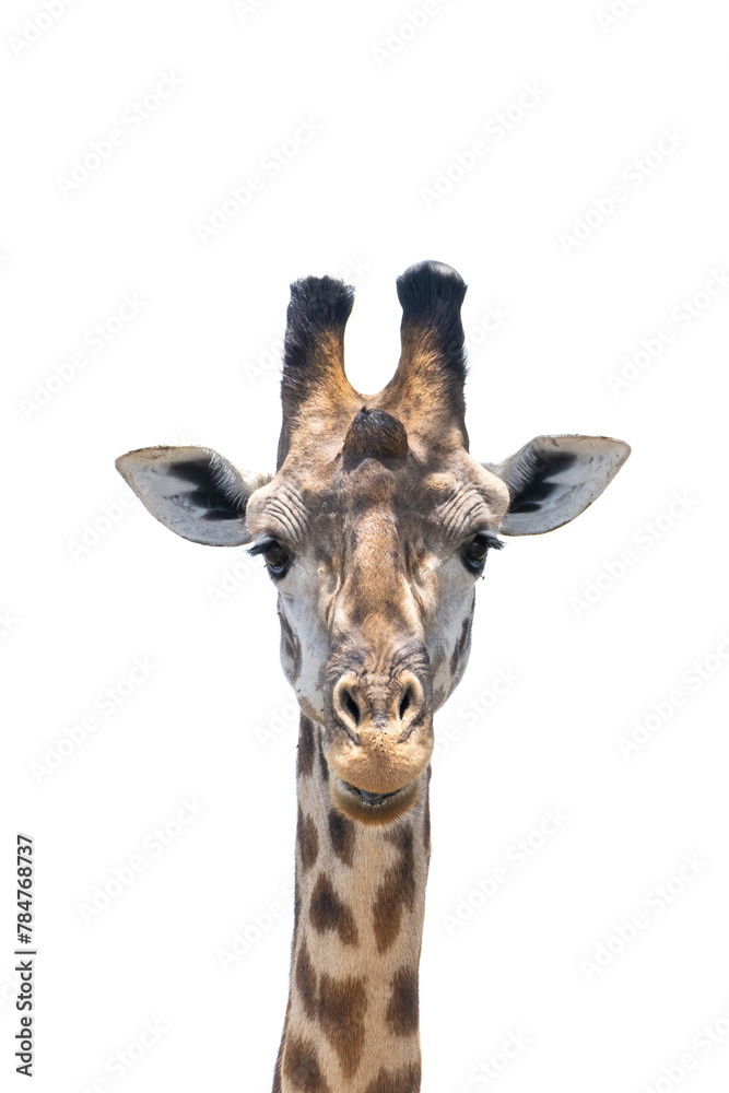 Giraffing