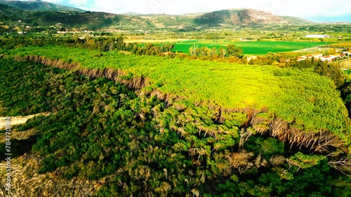 Aerial video of the coastline of Nicotera, Italy photo