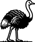 ostrich cartoon illustration