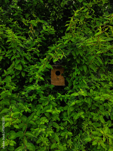 Bird house among leafs