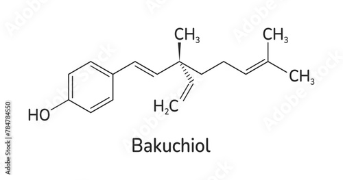 Bakuchiol skeletal formula vector illustration. Meroterpene chemical structure. A natural alternative to retinol molecule image and text. Can use for medical, cosmetic and scientific designs.