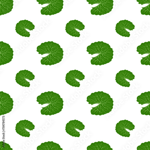 Centella asiatica seamless pattern vector illustration. Gotu kola repeated texture. Fresh cica green leaf for organic cosmetics, natural products, food, medicine design. Asian pennywort background