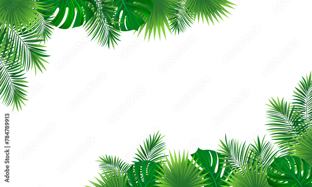 tropical horizontal border frame. Vector illustration with beautiful amazon rainforest tropic plants. Coconut palm and washingtonia leaves. Summer, travelling designs, posters and wallpapers.