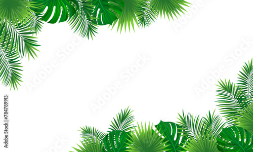 tropical horizontal border frame. Vector illustration with beautiful amazon rainforest tropic plants. Coconut palm and washingtonia leaves. Summer, travelling designs, posters and wallpapers.