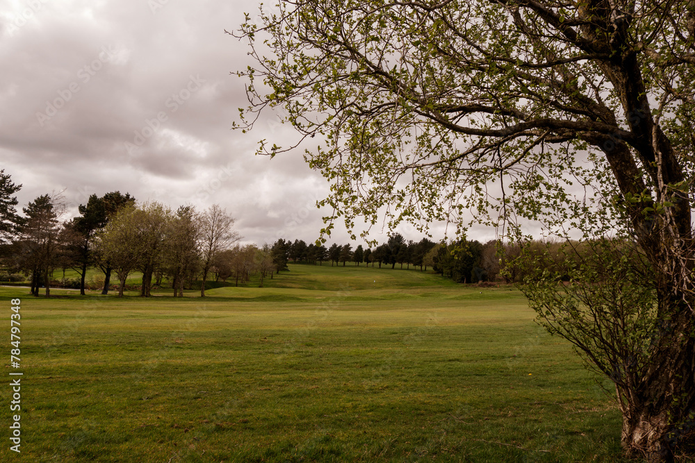 Fototapeta premium spring in the park
