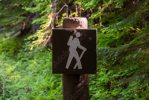 Hiking Trailhead Sign in Mount Rainier